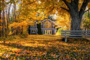 Home surrounded by golden fall leaves