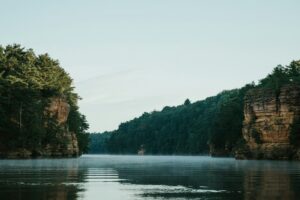 Wooded river bluffs on the St. Croix