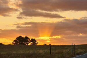Sunset over open farmland